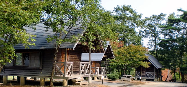 �L�����v�ꗿ��